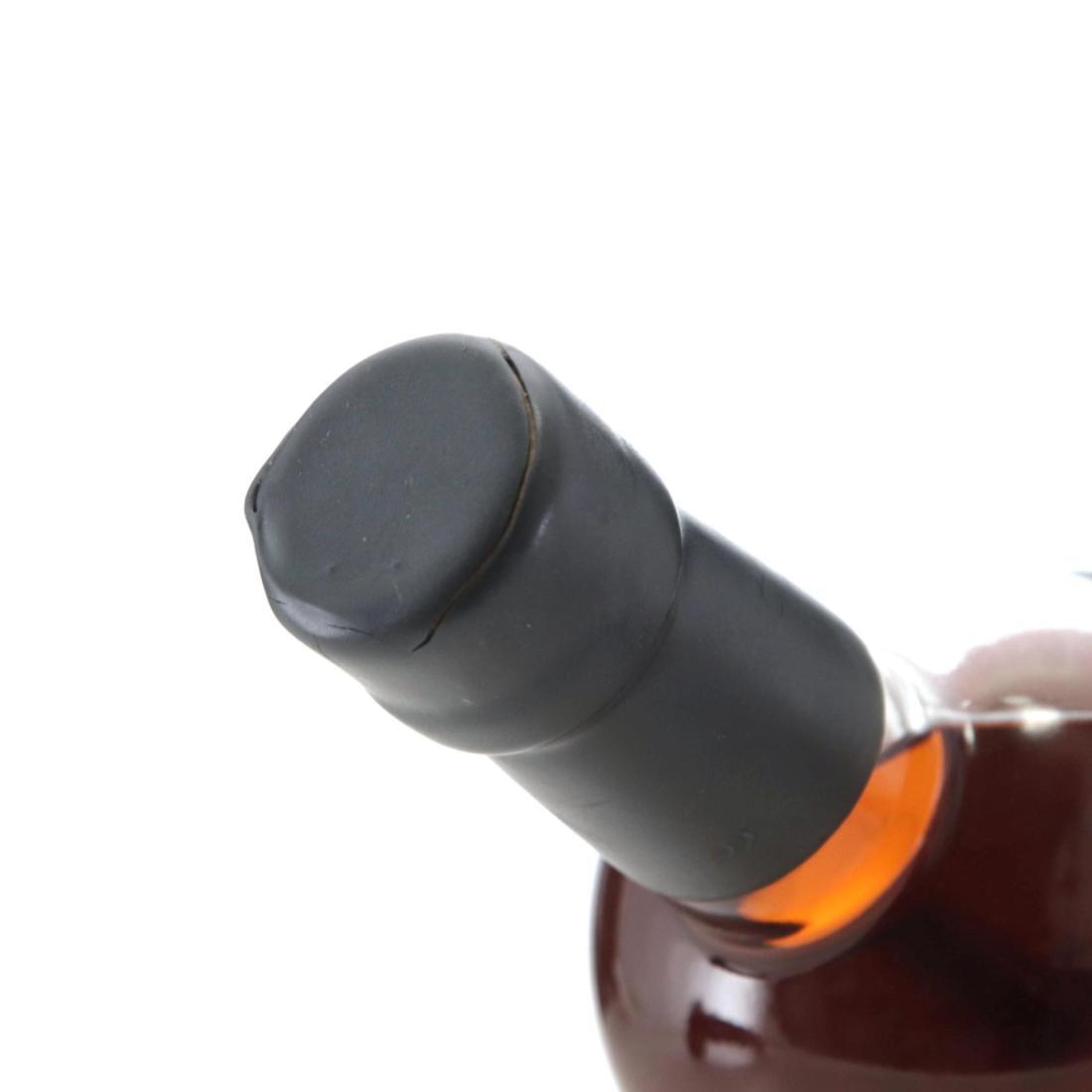 Karuizawa 1996 48 Sumo Wrestlers