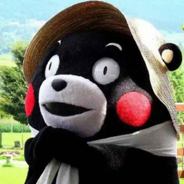 如果不是必要。