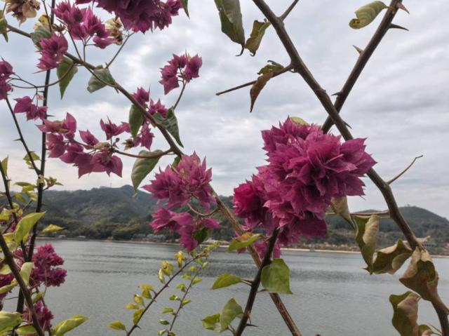 烟花三月下扬州