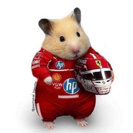 网友ykicv(自动优先)