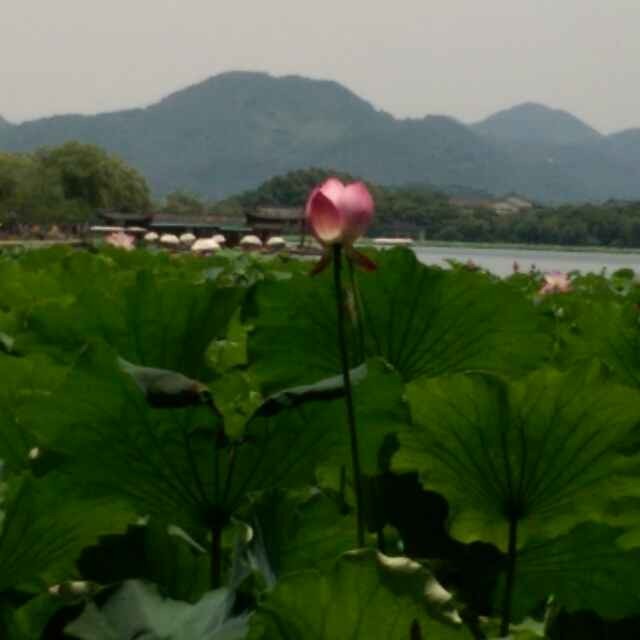 绝缘体
