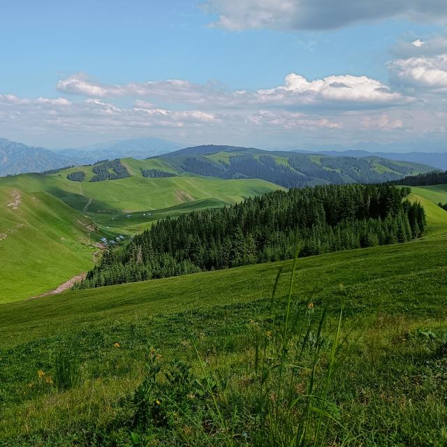 夜空中最亮的星