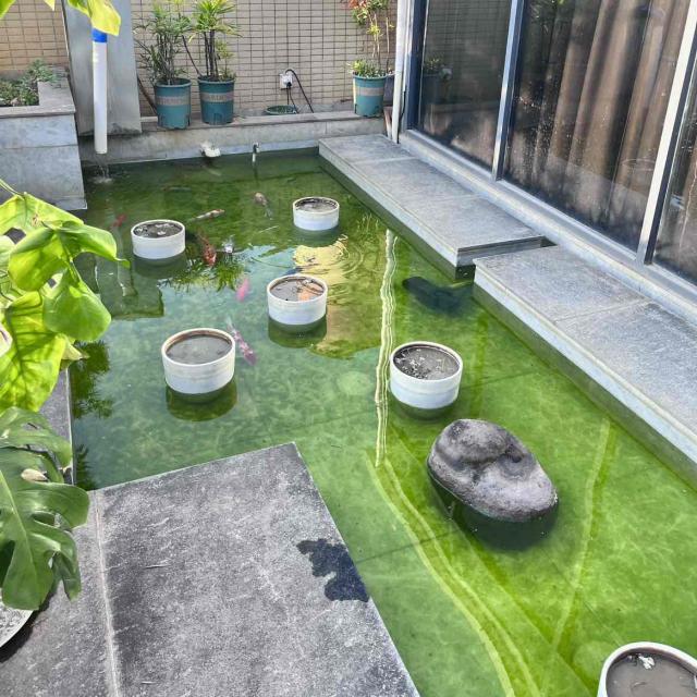 重生之我是酒神