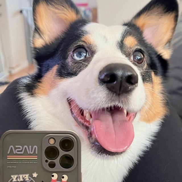 求求富哥高抬贵手