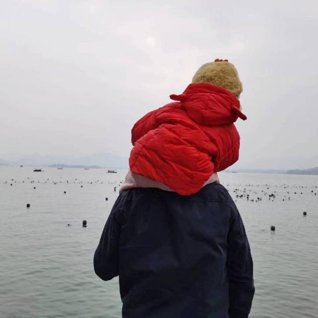 穿红衣的小黄帽