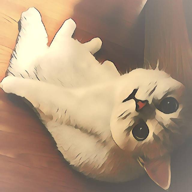 网友_t4x(自动加价)