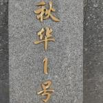 非常