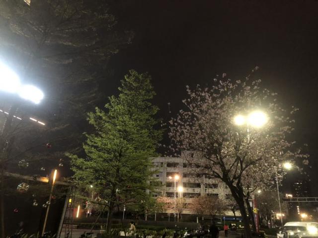 瓶瓶无奇的酒友