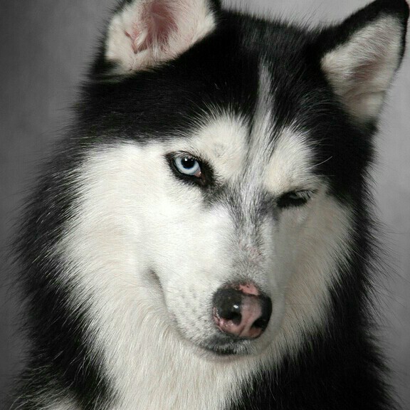 晃晃悠悠的小鬼