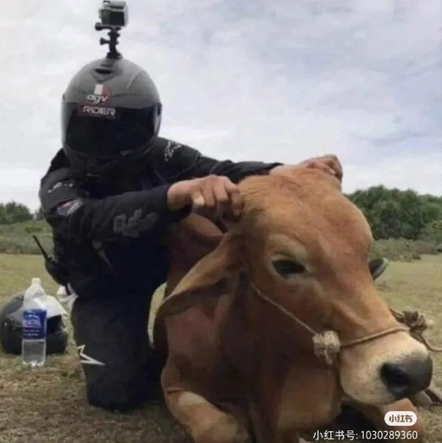 网友u96t