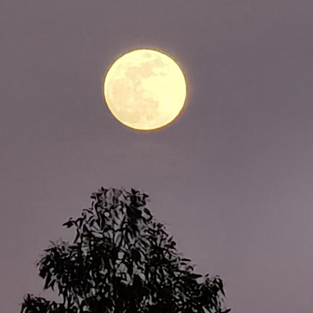 清醒的人醉荒唐