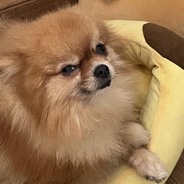 城武
