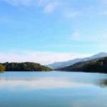 泽霖