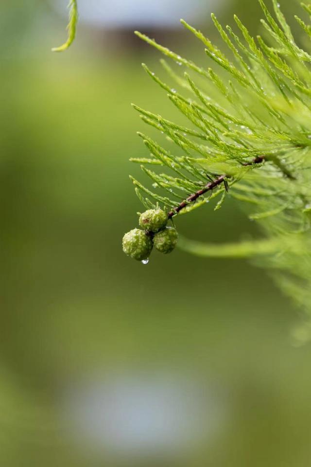 下雨天了喝点酒