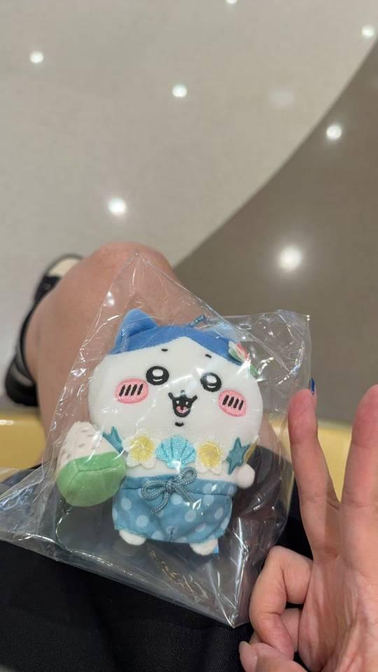 刀刀呀刀刀