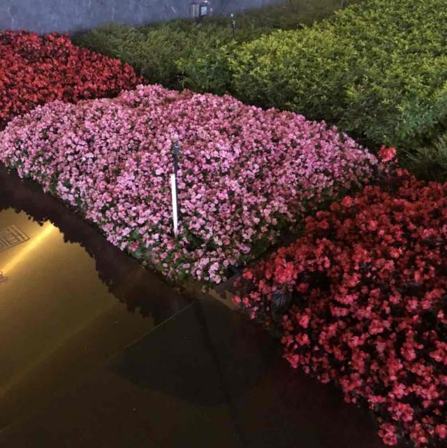 家伟喝点威士忌