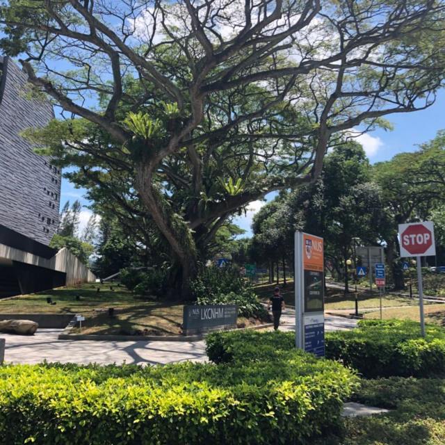 不喝酒的马仙僧