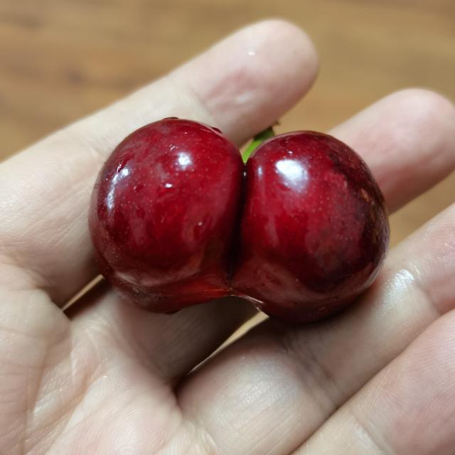 戒烟戒酒戒女色