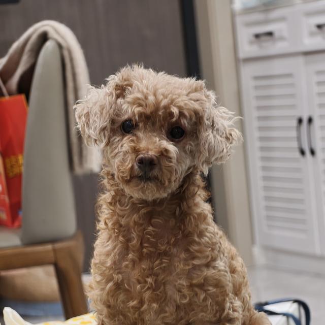 AFK