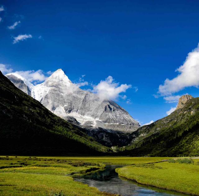 凡尘无雪(自动加价)