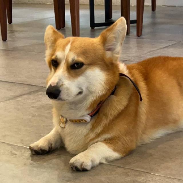 春风（只加这手）