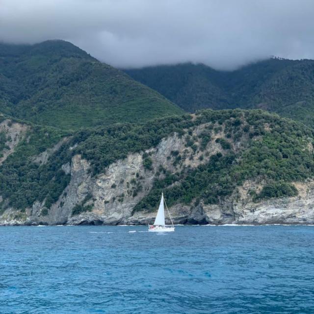 sdeohsw(自动加价)