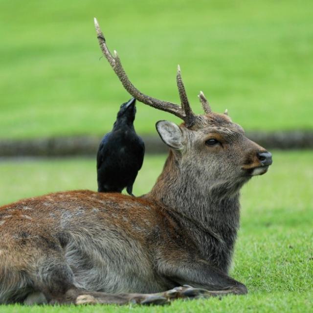 冷冷冷冷冷空气