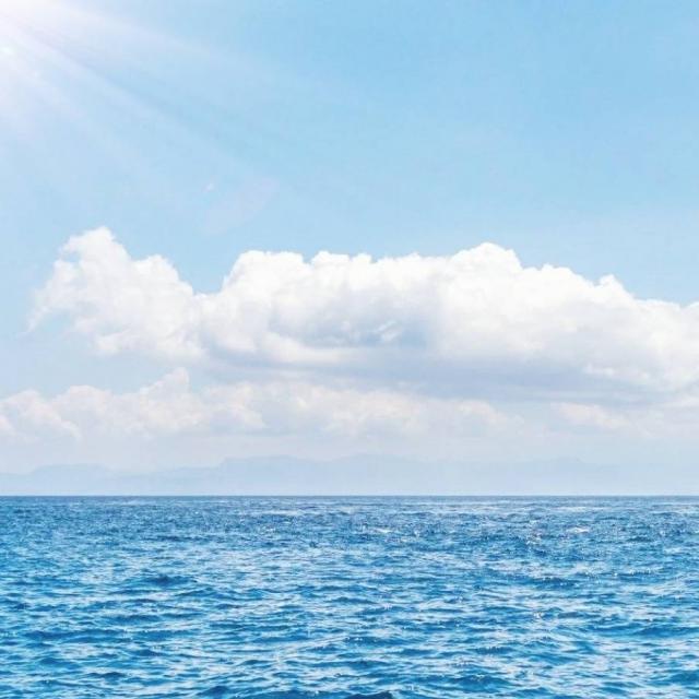 让让我，求求你