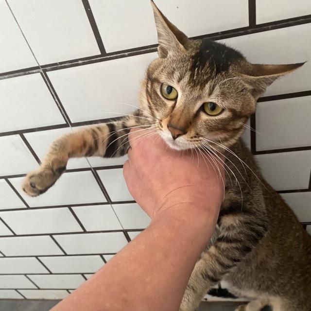 什么档次敢跟我抢酒