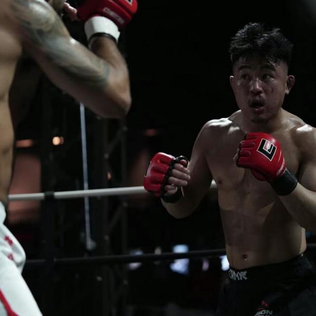 查完全网行情加一元