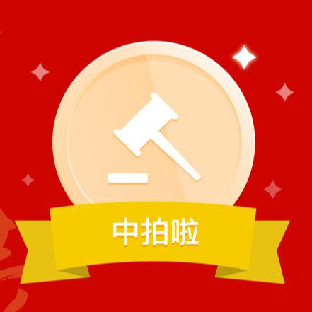 您已成功拍得此拍品