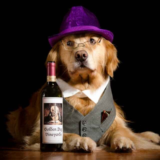 社会主义接盘人