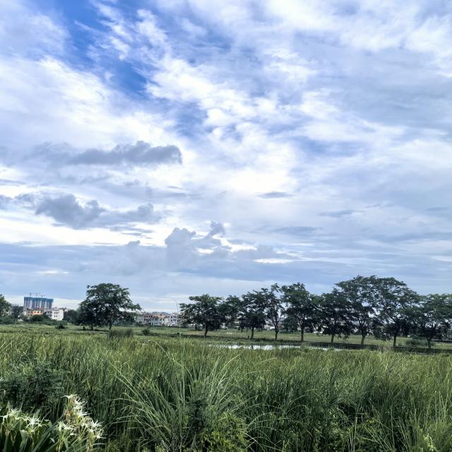 不爱喝酒的闲人