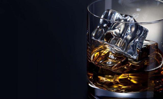 夜色下的白桦林