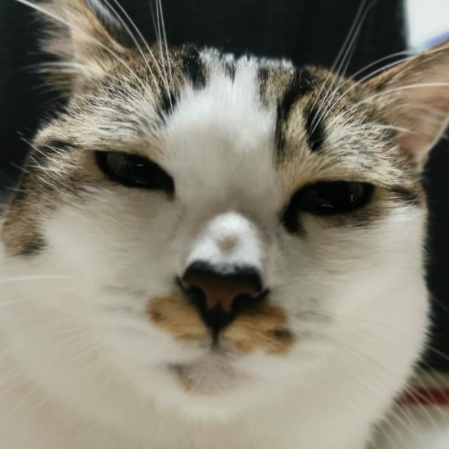 一个不知名的酒友