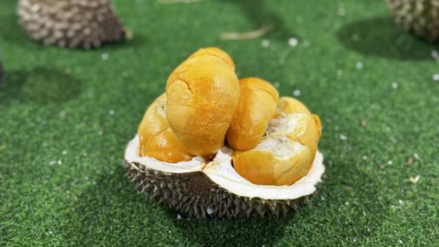 手机pdgp8(自动加价)