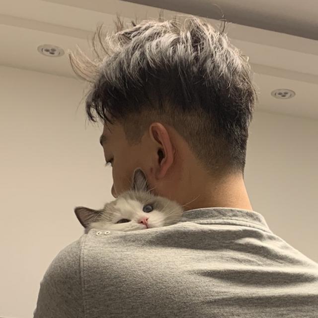 馒头吃的是奥利奥