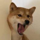 AboTk