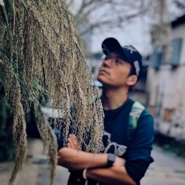 Bob（柏舜软