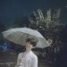 Joy_z8p
