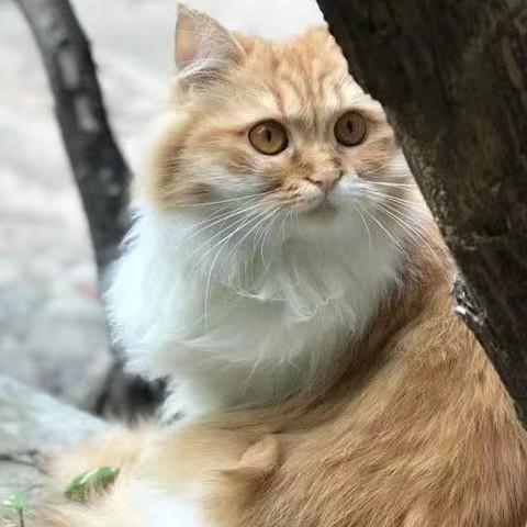 酒后高质量艺术家