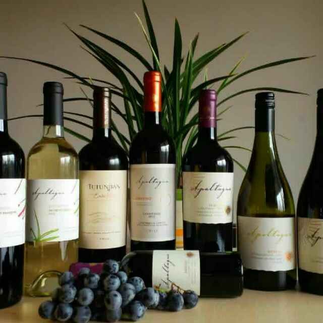 智利阿帕尔酒庄