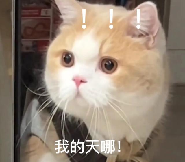 钓鱼佬子