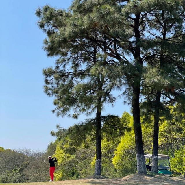 网友_r7a