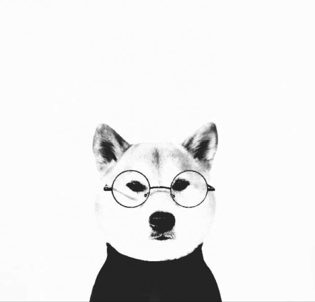 小鹅(自动优先)