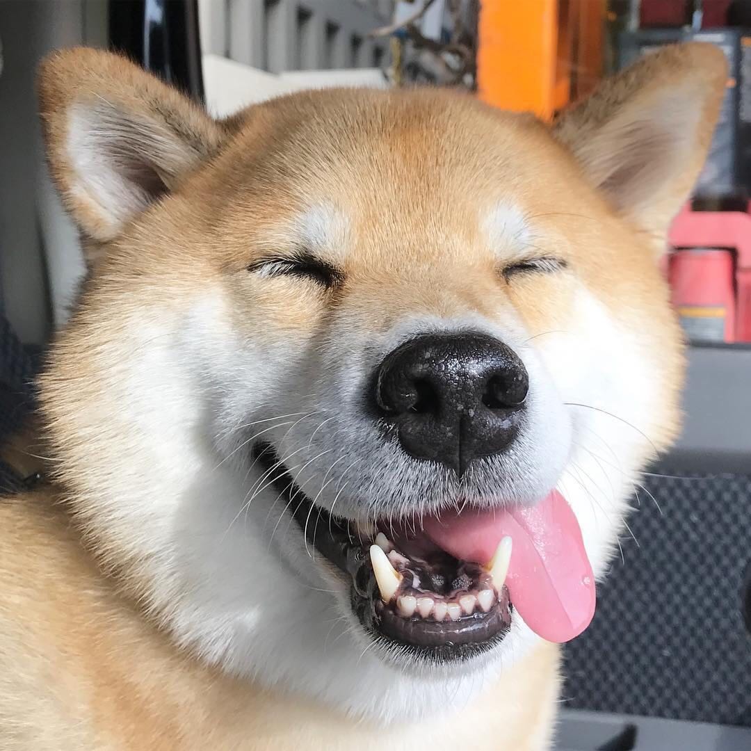 生日礼物?