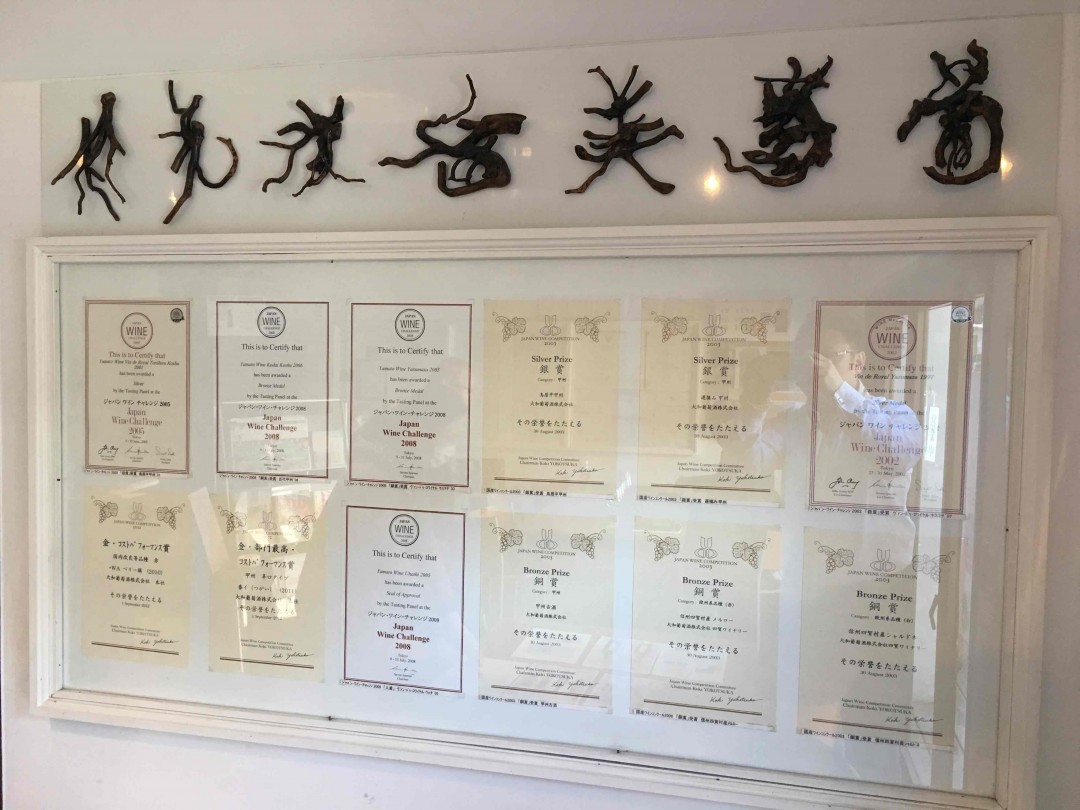 日本最牛逼的葡萄酒之一的大和葡萄出品，日本漫画酒之神里都有的古代甲物130年老藤，看好日本葡萄酒在世界崛起