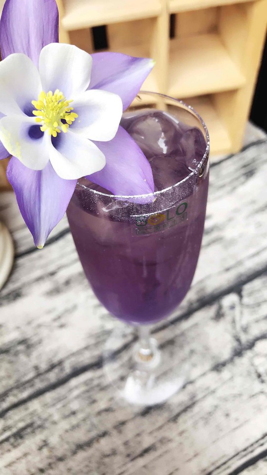 调了一款酒：耧斗菜 （这花叫耧斗菜）