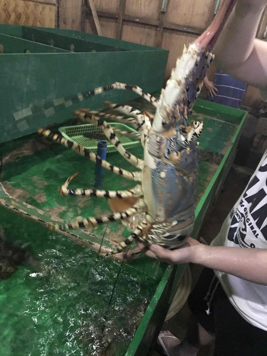 深夜食堂