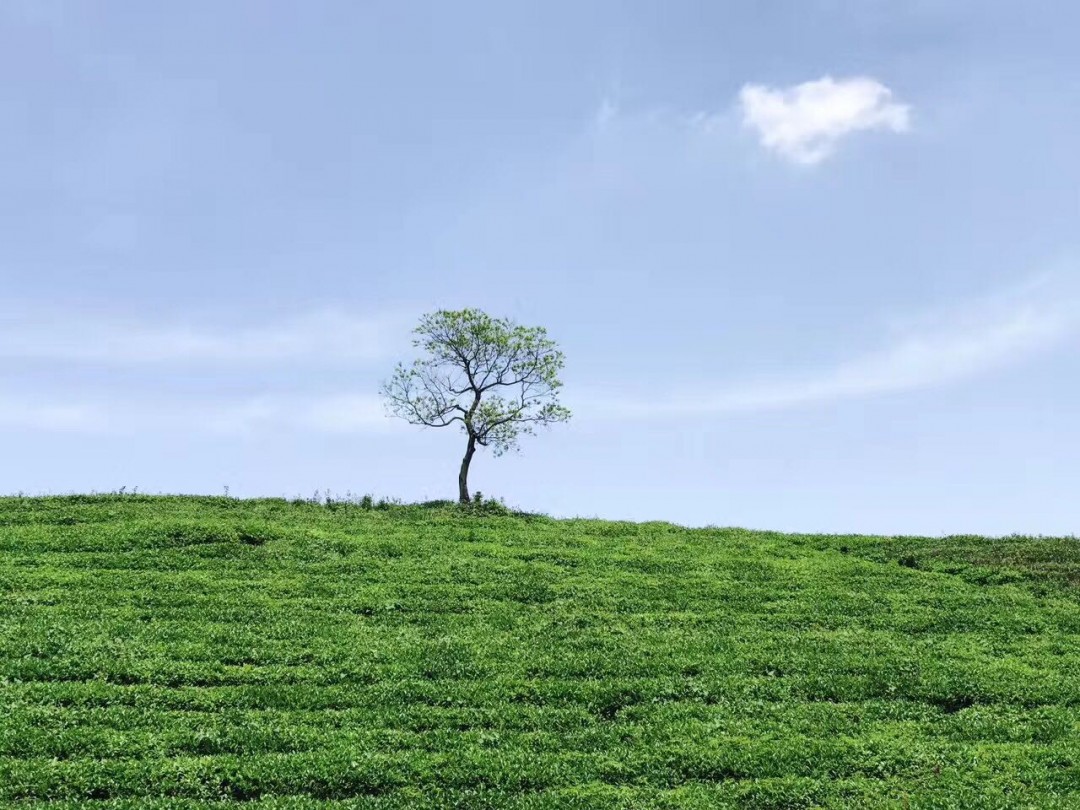 大家聊下怎么保存爱酒